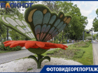 Городской сад: рядом с историей, посреди природы и тишины, на территории развлечений и в центре Краснодара