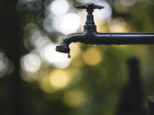 В Краснодаре жители станицы лишены воды на всё лето 