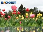 Облачность и дождь обещают в Краснодаре на 9 Мая