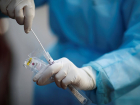 Общее число заболевших коронавирусом на Кубани превысило 14 тысяч 