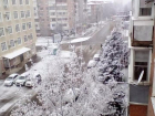 В Краснодаре на этой неделе ожидают первый снег