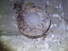 В двух кварталах от мэрии Краснодара нашли учебную противотанковую мину