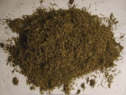 В Сочи наркоторговцев осудили за подготовку к сбыту 3,5 кг спайса