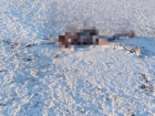 Обглоданный замерзший труп нашли в Краснодарском крае