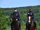 В Краснодаре 21 полицейский спрятал свои доходы от государства