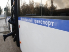 В Краснодаре запустят 98 олимпийских автобусов