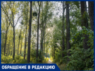 Подлесок в Краснодарском лесопарке превратили в труху