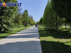 В краевой столице стартовала экологическая акция «Краснодар — 10 тысяч деревьев»