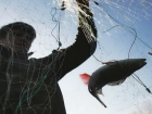 «И рыбку съесть, и ножки не замочить»: кубанские браконьеры поймали рыбы на 135 тысяч рублей