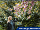 Павлины, фазаны, белки среди краснокнижных цветов и деревьев: Ботанический сад Краснодара открыл свои тайны путешественникам  
