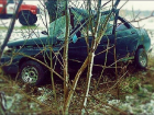 Водитель ВАЗа погиб, врезавшись в дерево под Тимашевском