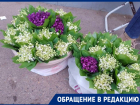 «Наказать губителей природы»: краснодарцы требуют остановить продажу ландышей