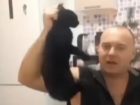 В Краснодаре пьяный десантник пытался зарезать своего кота в прямом эфире