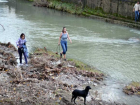 Сочинцы помогли выбраться упавшей в реку собаке