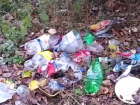 В Краснодаре завалили мусором берег Старой Кубани