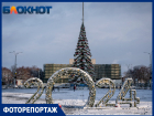 Гололёд без песка и зимняя красота: фото последствий первого снегопада в Краснодаре в 2024 году