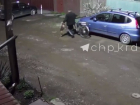 В Краснодаре полиция устанавливает личность забросавшего собаку камнями живодёра 