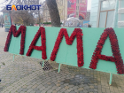 В центре Краснодара из 1000 роз выложили пятиметровое слово «Мама»