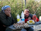 На Кубани хотят укротить цены на продукты за счет торговли на обочинах дорог