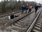 Пропавших подростков из Питера поймали на железной дороге в Сочи
