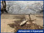Мертвая рыба в черной воде: краснодарцы бьют тревогу из-за сброса отходов в Карасунские озера