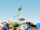 В Сочи могут построить "зеленый" завод для переработки отходов