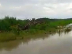Река Кубань затопила дорогу Гулькевичи - Армавир