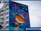 Влюбят в уличное искусство: показываем преобразившие Краснодар муралы