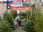 С 15 декабря в Краснодаре откроют ёлочные базары в ТЦ и гипермаркетах: список адресов 