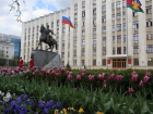 Более 3 тысяч жителей Краснодарского края начали работать официально