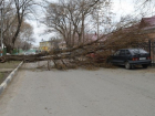В Армавире ураганный ветер оборвал линии электропередач