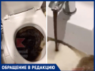 Жители Краснодара пожаловались на «кофе из крана» 
