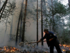 Пожар произошел в районе лесопарка «Красный Кут» в Краснодаре