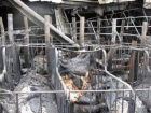 В Выселковском районе произошел крупный пожар на свиноферме