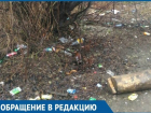  В Краснодаре убрали только половину самой грязной зеленой зоны в городе 