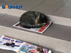 Сильные дожди прогнозируют синоптики в Краснодарском крае