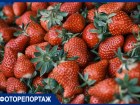Прогулка по рынку: где в Краснодаре купить клубнику за 150 рублей