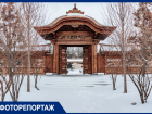 Японский сад готовят к открытию: показываем заснеженный парк «Краснодар» Сергея Галицкого