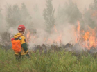 Экстренное предупреждение: на Кубани при жаре в +39 сохраняется высокая пожароопасность