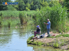 Улов в День рыбака на Кубани: от гигантских сомов и осетров до карасиков и окуньков