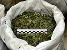 Жителя Кубани осудили на три года за килограмм марихуаны