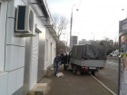 МВД проводит проверку по факту массового отстрела собак в Краснодаре