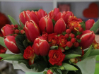 Владельцы цветочных магазинов Краснодара не стали наживаться на празднике