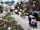 Пасмурно и дождливо будет в среду в Краснодаре