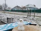 В Краснодарском крае лепят первых снеговиков 