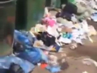«Здесь толпы крыс шелестят пакетами», - краснодарец на видео пожаловался на санитарное состояние