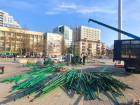 Вице-мэр Краснодара рассказал о том, какая елка будет украшать Главную городскую площадь