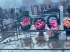 В Краснодаре могилы на кладбище залило водой