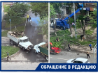 «К лету останется асфальт»: массовый спил деревьев взбудоражил краснодарцев