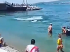 В Геленджике дельфины устроили шоу для туристов на пляже